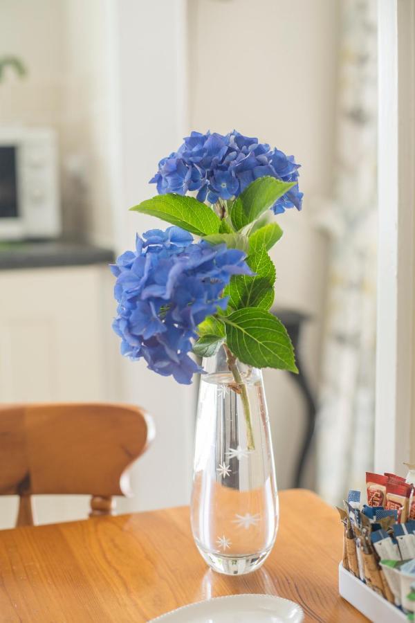 Pant-Y-Celyn Studio Apartment Aberaeron Bagian luar foto